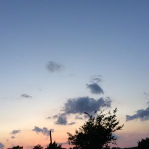 Meet your Posher, Makayla